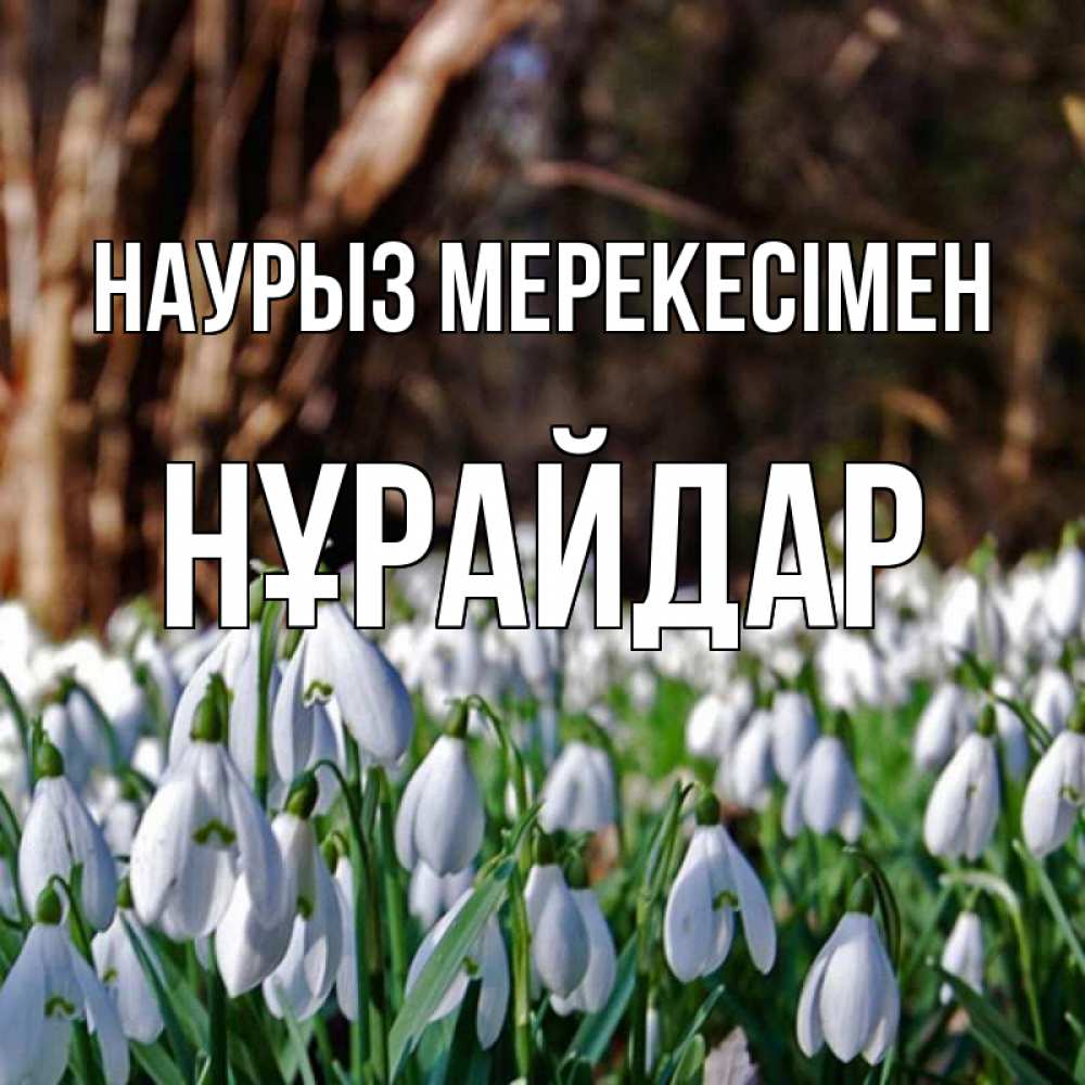 Күн сайын ашық хат с именем, НҰРАЙДАР Наурыз мерекесімен с подснежниками 1 Онлайн тегін жүктеп алу тілектері бар керемет карта 