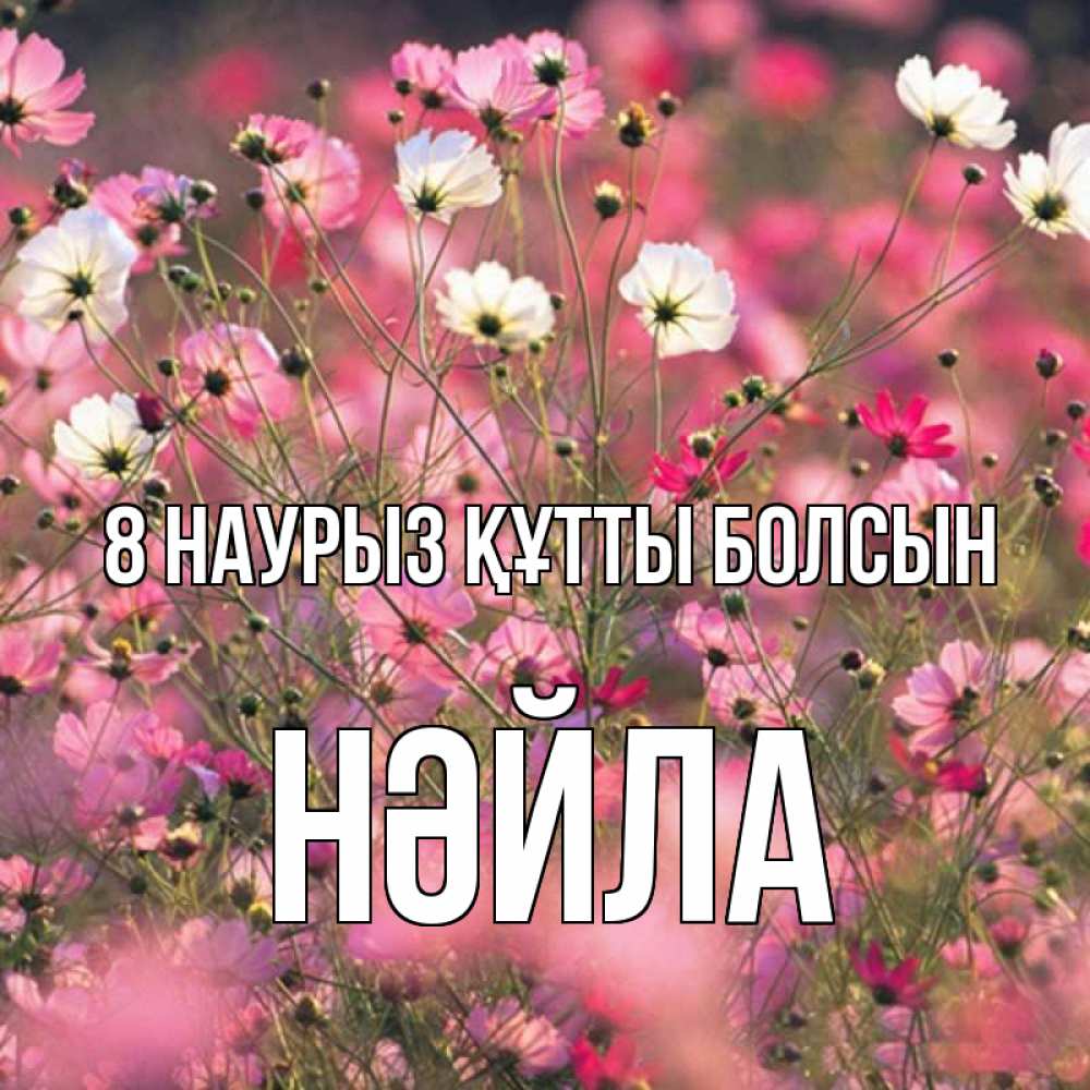 Күн сайын ашық хат с именем, НӘЙЛА 8 наурыз құтты болсын красиво 1 Онлайн тегін жүктеп алу тілектері бар керемет карта 