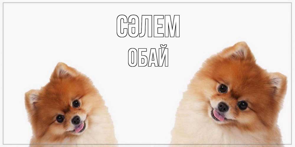 Күн сайын ашық хат с именем, ОБАЙ Сәлем привет Онлайн тегін жүктеп алу тілектері бар керемет карта 
