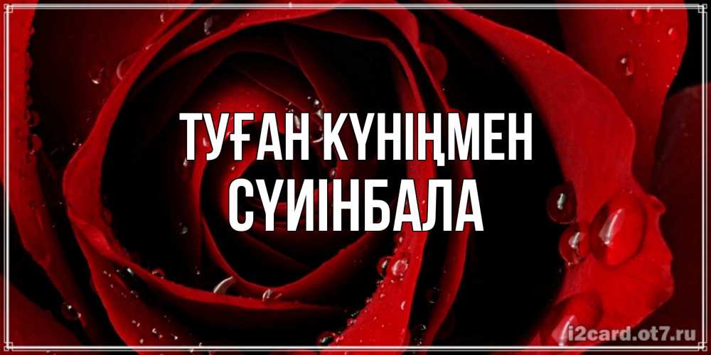 Күн сайын ашық хат с именем, СҮИІНБАЛА Туған күніңмен крупная бордовая роза Онлайн тегін жүктеп алу тілектері бар керемет карта 