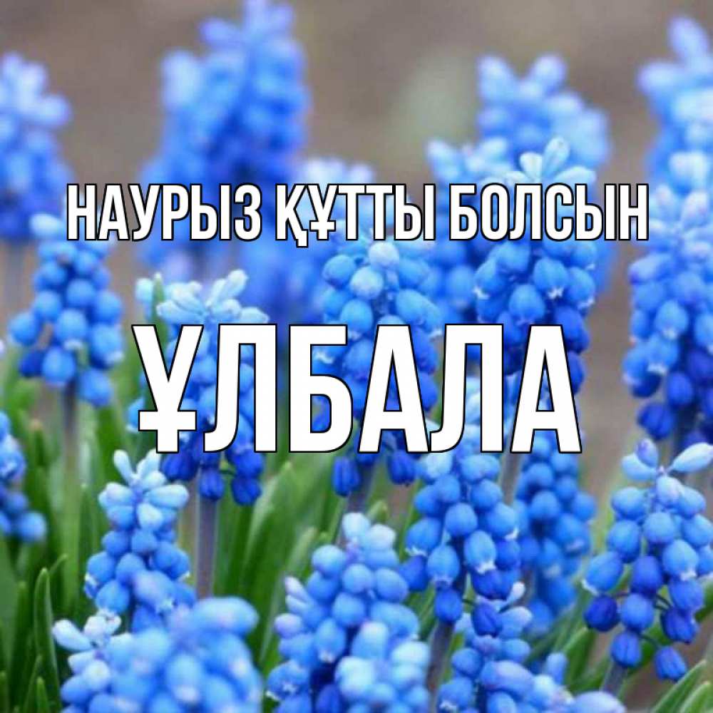 Күн сайын ашық хат с именем, ҰЛБАЛА Наурыз құтты болсын Поздравительная открытка для женщин с цветами на праздничную дату Онлайн тегін жүктеп алу тілектері бар керемет карта 
