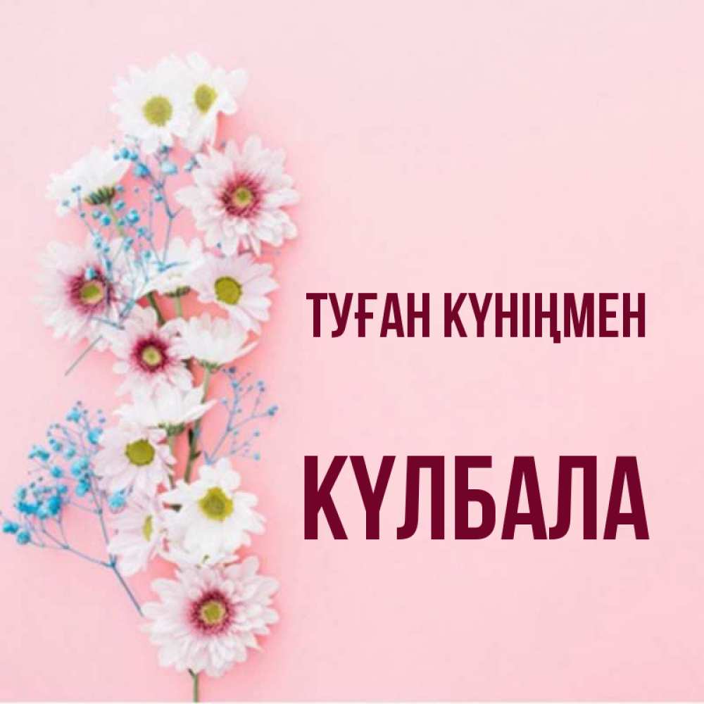 Күн сайын ашық хат с именем, Күлбала Туған күніңмен Родная моя с днем рождения тебя картинка с цветами белыми и голубыми Онлайн тегін жүктеп алу тілектері бар керемет карта 