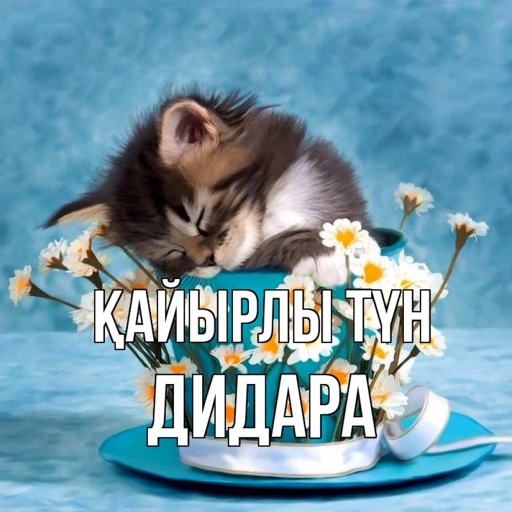 Күн сайын ашық хат с именем, ДИДАРА Қайырлы түн котенок спит в кружке с блюдцем Онлайн тегін жүктеп алу тілектері бар керемет карта 