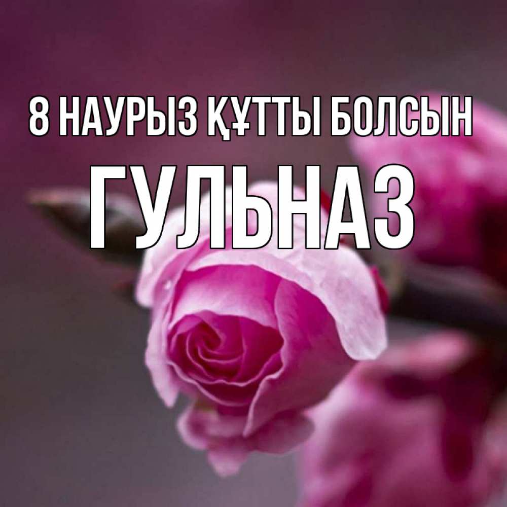 Күн сайын ашық хат с именем, Гульназ 8 наурыз құтты болсын весна Онлайн тегін жүктеп алу тілектері бар керемет карта 