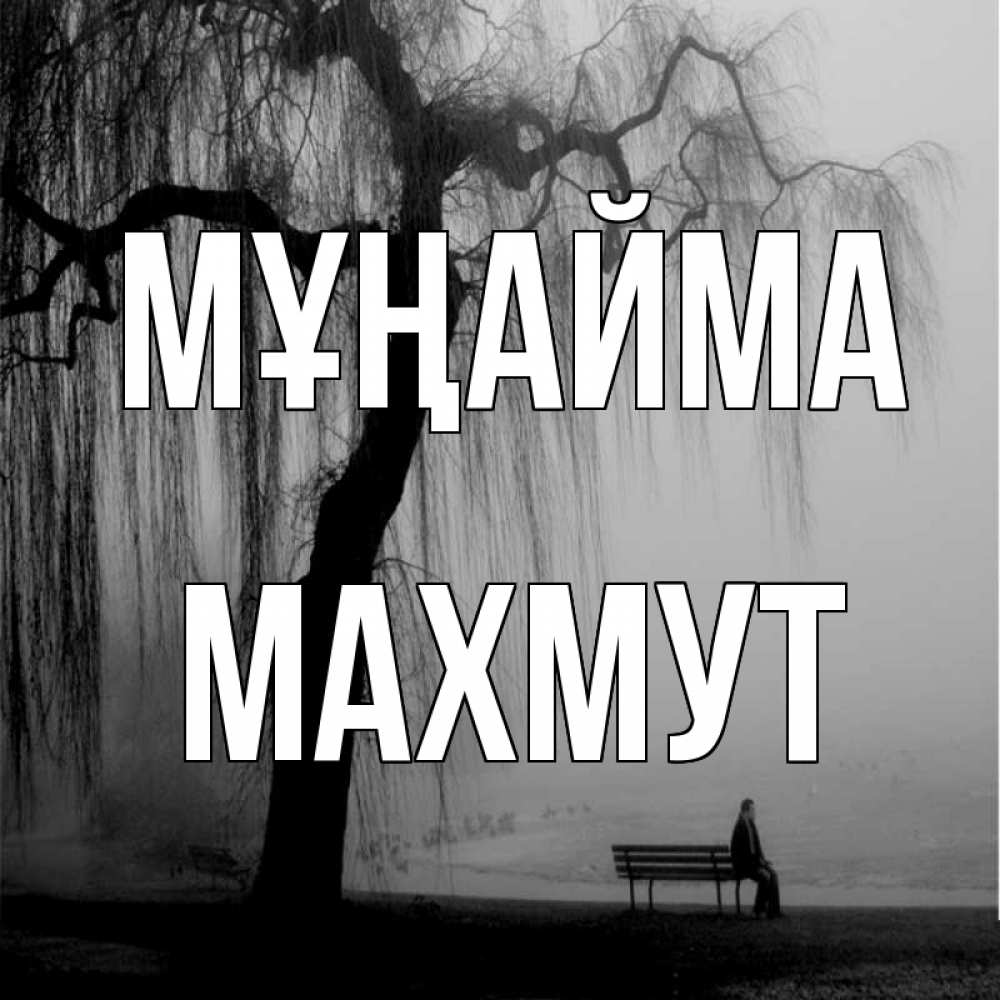 Күн сайын ашық хат с именем, МАХМУТ Мұңайма висящие ветки дерева и лавочка под деревом Онлайн тегін жүктеп алу тілектері бар керемет карта 
