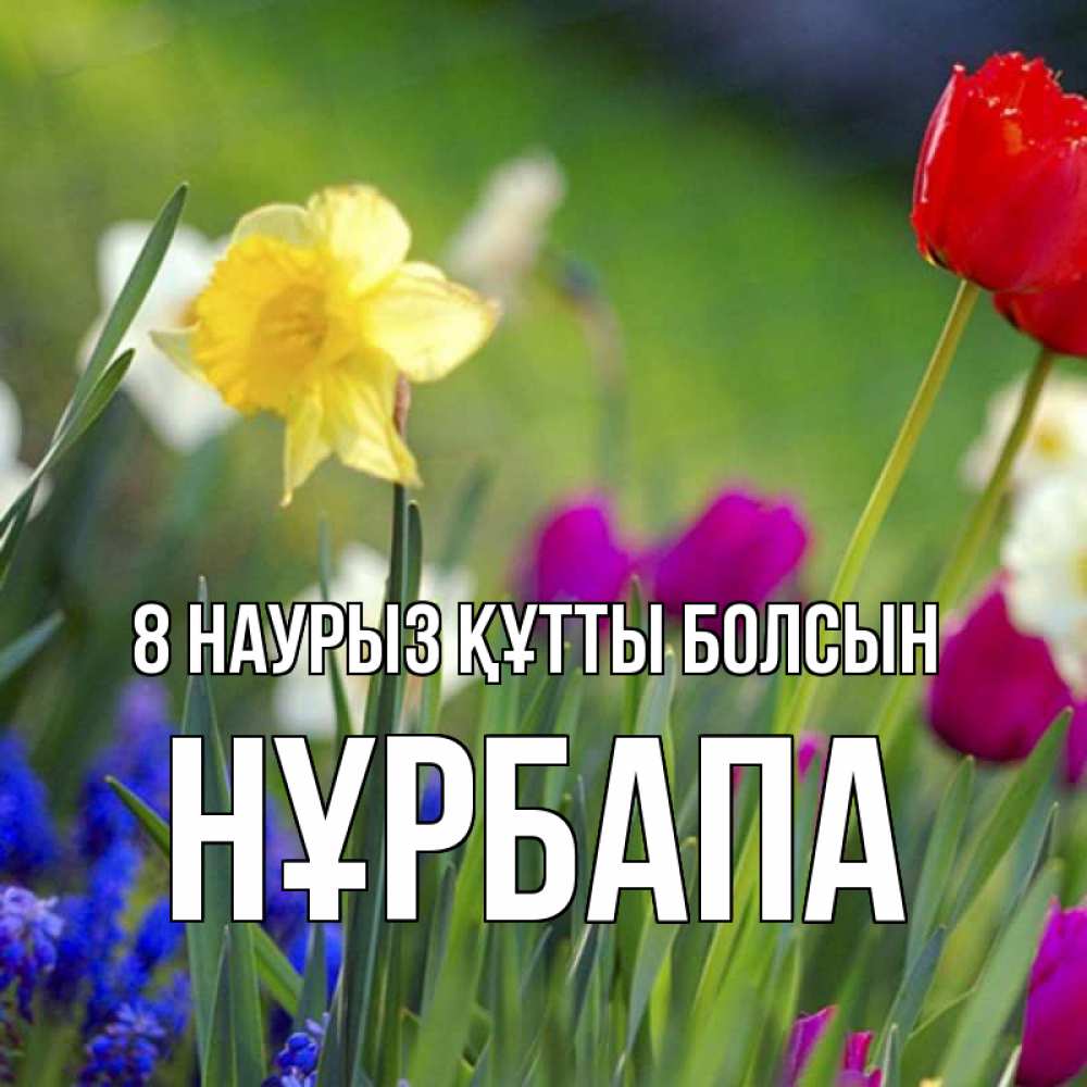 Күн сайын ашық хат с именем, НҰРБАПА 8 наурыз құтты болсын международный женский день 3 Онлайн тегін жүктеп алу тілектері бар керемет карта 