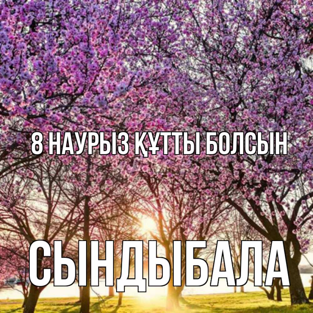 Күн сайын ашық хат с именем, СЫНДЫБАЛА 8 наурыз құтты болсын международный женский день Онлайн тегін жүктеп алу тілектері бар керемет карта 