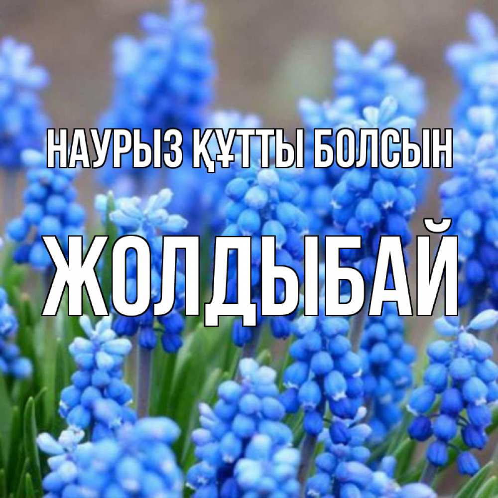 Күн сайын ашық хат с именем, Жолдыбай Наурыз құтты болсын Поздравительная открытка для женщин с цветами на праздничную дату Онлайн тегін жүктеп алу тілектері бар керемет карта 