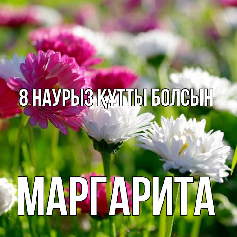 Күн сайын ашық хат с именем, Маргарита 8 наурыз құтты болсын международный женский день 1 Онлайн тегін жүктеп алу тілектері бар керемет карта 