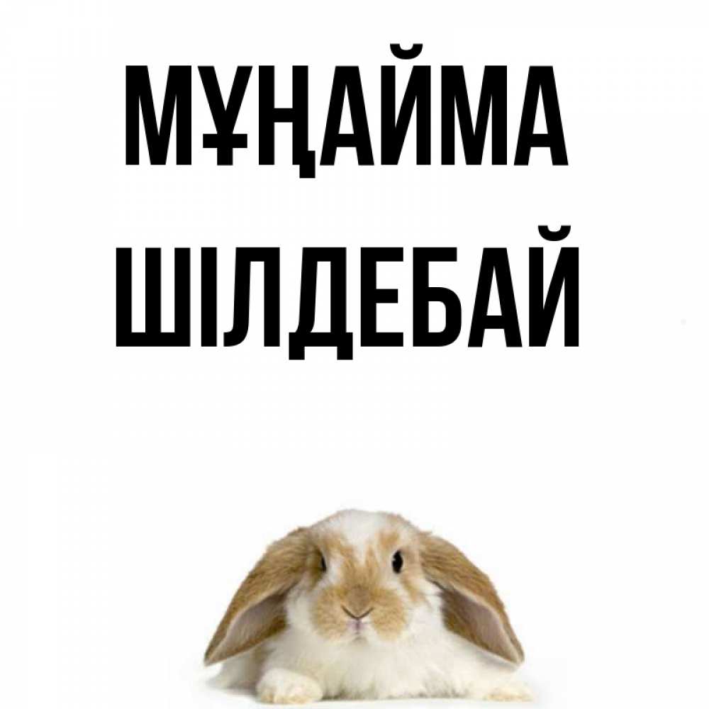 Күн сайын ашық хат с именем, ШІЛДЕБАЙ Мұңайма коричнево белый заяц с большими ушками Онлайн тегін жүктеп алу тілектері бар керемет карта 
