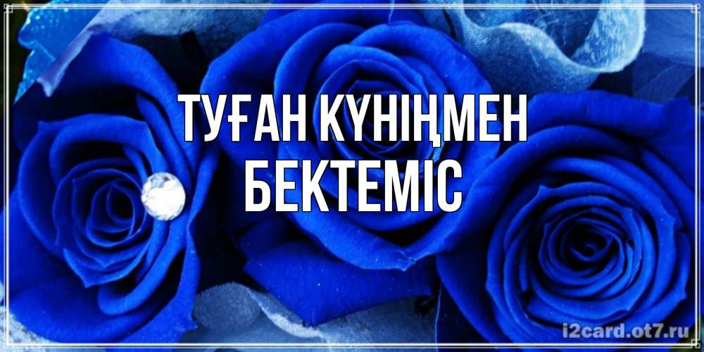 Күн сайын ашық хат с именем, Бектеміс Туған күніңмен синие розы в росе Онлайн тегін жүктеп алу тілектері бар керемет карта 