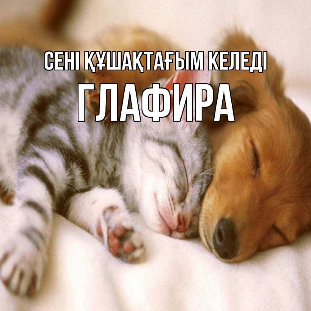 Күн сайын ашық хат с именем, Глафира сені құшақтағым келеді пес и котенок Онлайн тегін жүктеп алу тілектері бар керемет карта 