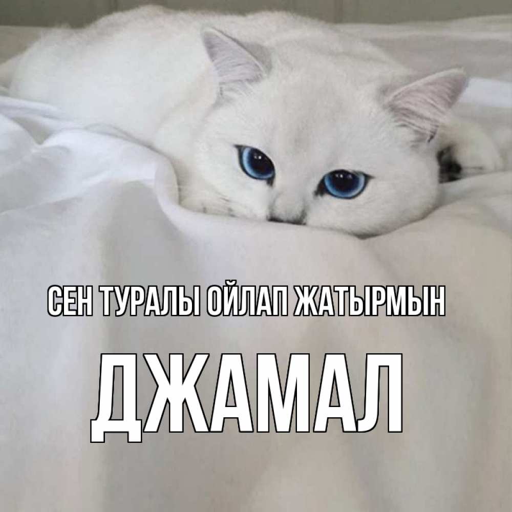Күн сайын ашық хат с именем, Джамал Сен туралы ойлап жатырмын я очень по тебе скучаю и тоскую Онлайн тегін жүктеп алу тілектері бар керемет карта 