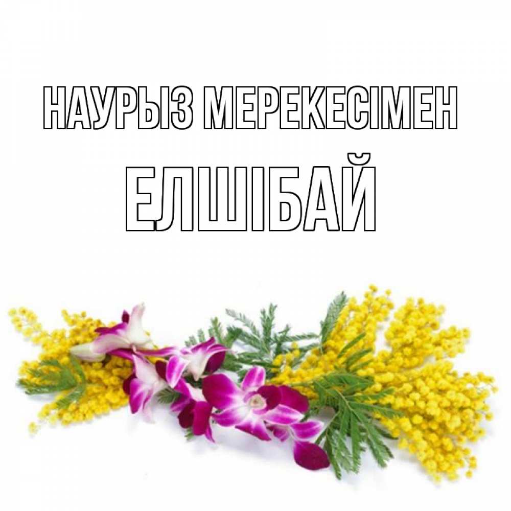 Күн сайын ашық хат с именем, Елшібай Наурыз мерекесімен открытка на международный женский день с цветами  1 Онлайн тегін жүктеп алу тілектері бар керемет карта 