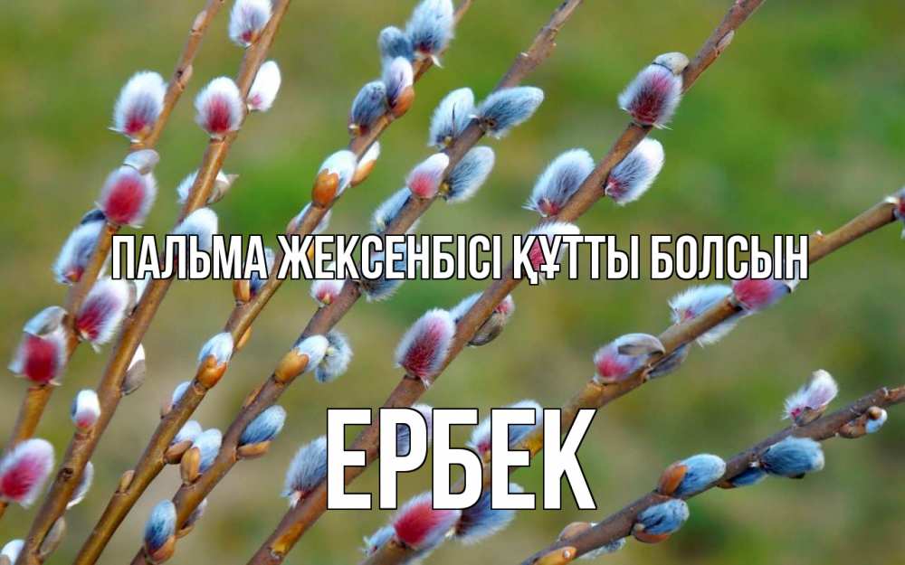 Күн сайын ашық хат с именем, Ербек Пальма жексенбісі құтты болсын верба Онлайн тегін жүктеп алу тілектері бар керемет карта 