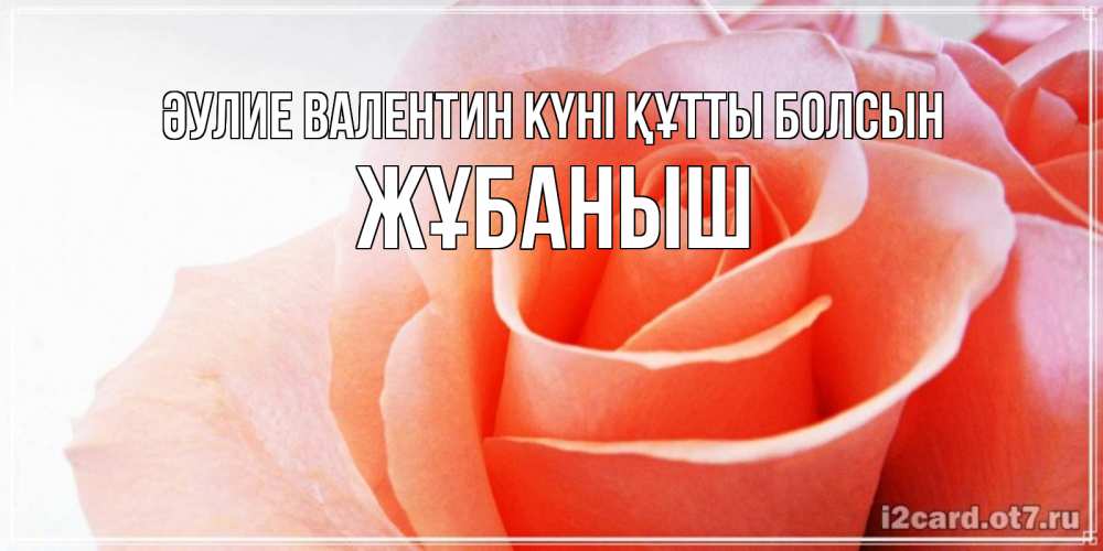 Күн сайын ашық хат с именем, Жұбаныш Әулие Валентин күні құтты болсын открытка на день Святого Валентина с розовой розой Онлайн тегін жүктеп алу тілектері бар керемет карта 