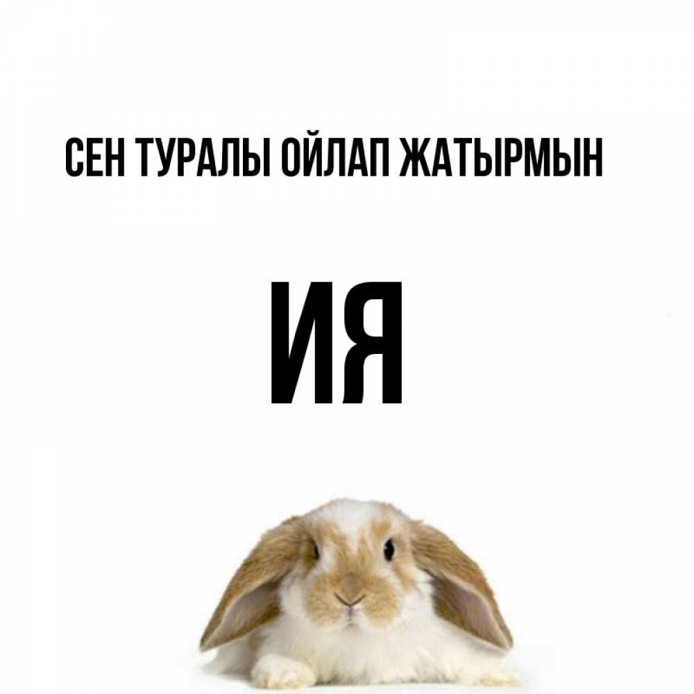 Күн сайын ашық хат с именем, Ия Сен туралы ойлап жатырмын подписать своими руками онлайн Онлайн тегін жүктеп алу тілектері бар керемет карта 