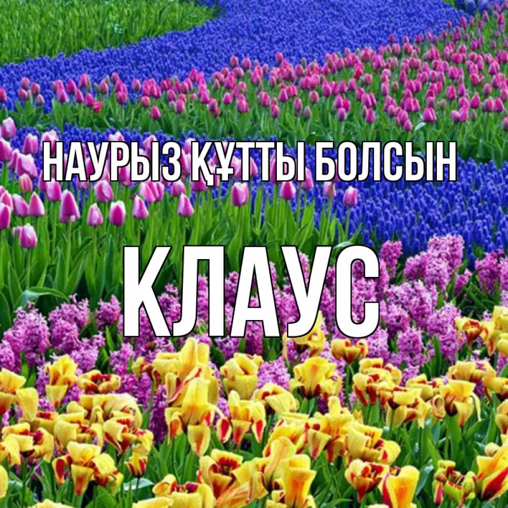 Күн сайын ашық хат с именем, Клаус Наурыз құтты болсын цветы Онлайн тегін жүктеп алу тілектері бар керемет карта 