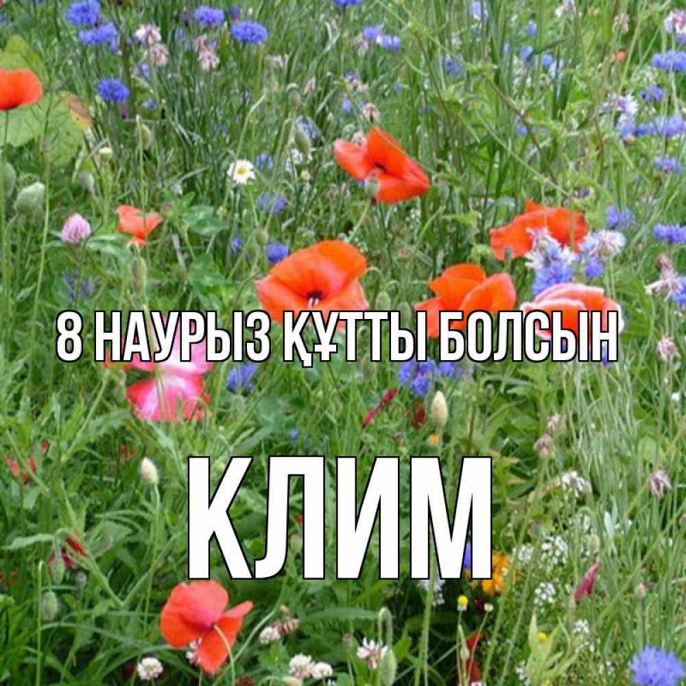 Күн сайын ашық хат с именем, Клим 8 наурыз құтты болсын международный женский день 4 Онлайн тегін жүктеп алу тілектері бар керемет карта 