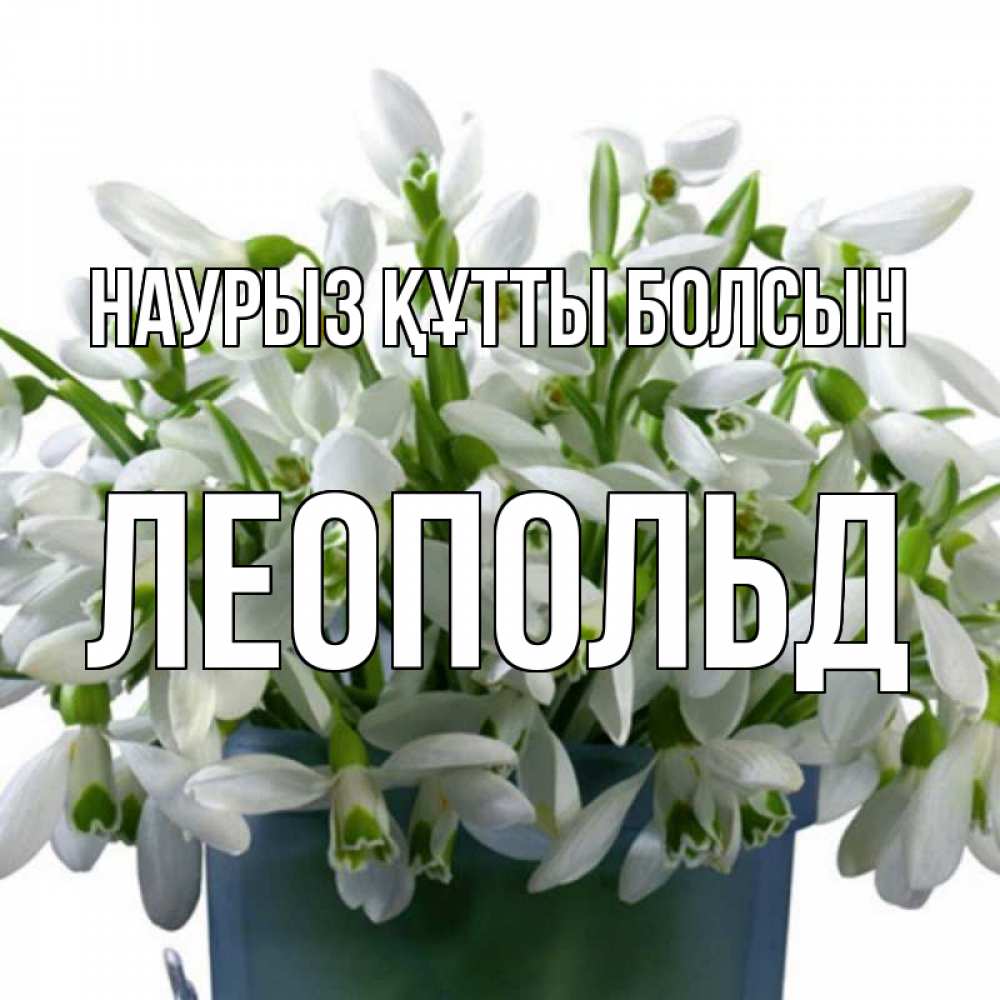 Күн сайын ашық хат с именем, Леопольд Наурыз құтты болсын цветы к наурызу Онлайн тегін жүктеп алу тілектері бар керемет карта 