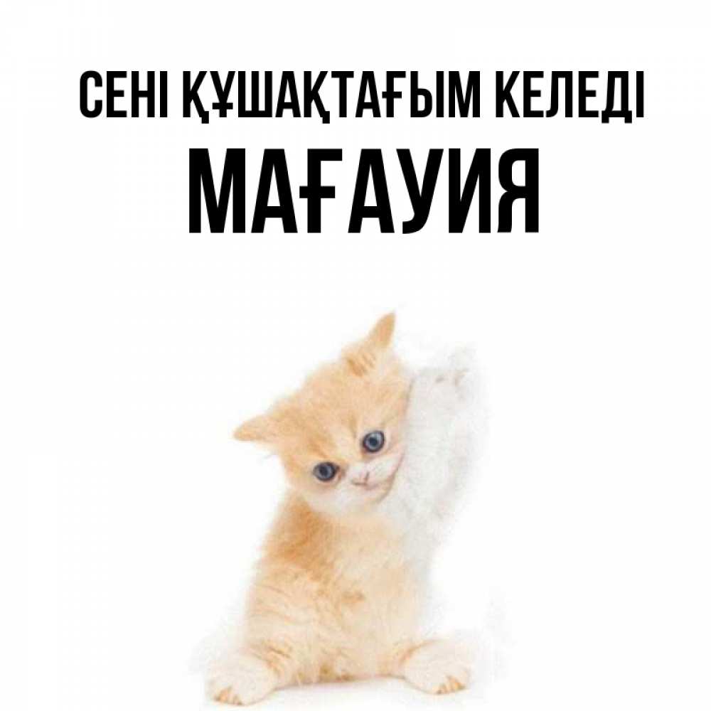 Күн сайын ашық хат с именем, МАҒАУИЯ сені құшақтағым келеді я хочу очень скорее обнимаешек Онлайн тегін жүктеп алу тілектері бар керемет карта 