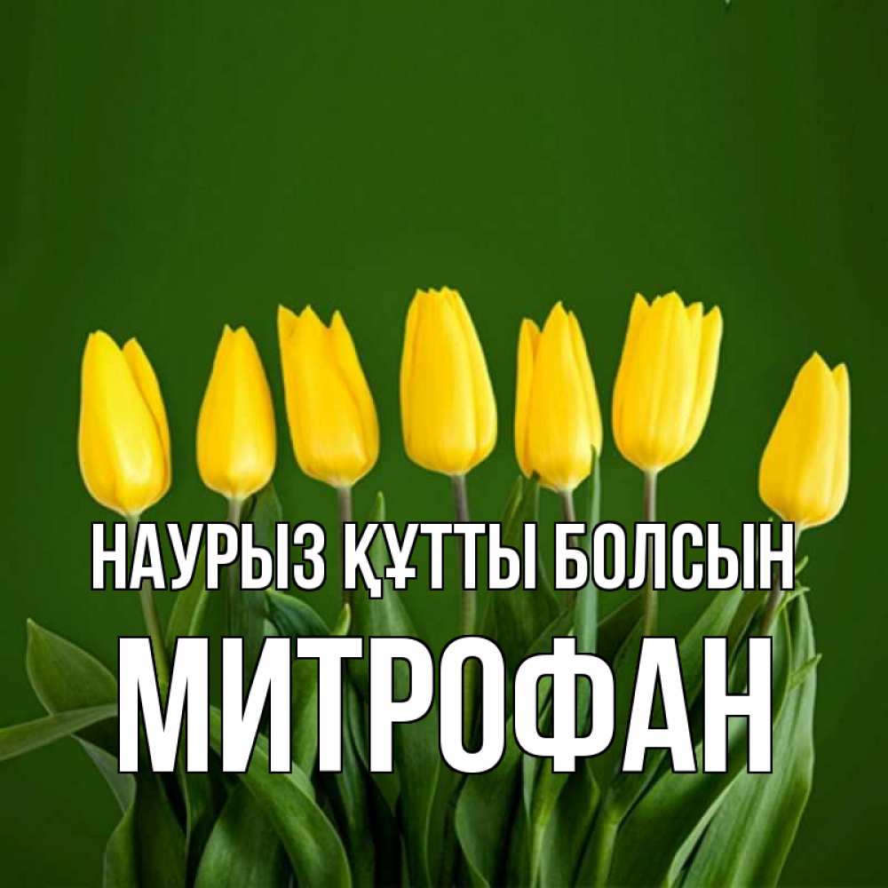 Күн сайын ашық хат с именем, Митрофан Наурыз құтты болсын желтого цвета 3 Онлайн тегін жүктеп алу тілектері бар керемет карта 