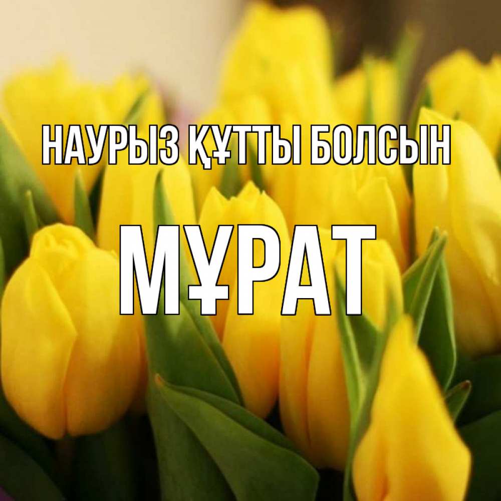 Күн сайын ашық хат с именем, МҰРАТ Наурыз құтты болсын цветы Онлайн тегін жүктеп алу тілектері бар керемет карта 
