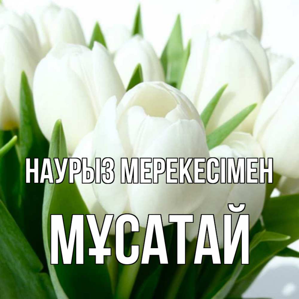 Күн сайын ашық хат с именем, Мұсатай Наурыз мерекесімен цветы Онлайн тегін жүктеп алу тілектері бар керемет карта 