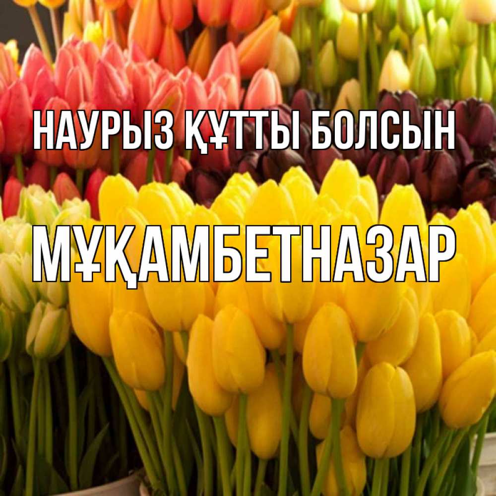 Күн сайын ашық хат с именем, Мұқамбетназар Наурыз құтты болсын цветы Онлайн тегін жүктеп алу тілектері бар керемет карта 
