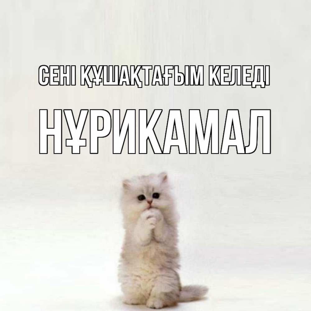 Күн сайын ашық хат с именем, НҰРИКАМАЛ сені құшақтағым келеді открытки с креативными подписями Онлайн тегін жүктеп алу тілектері бар керемет карта 