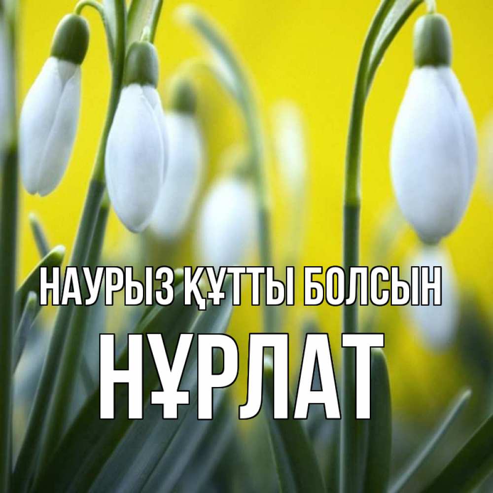 Күн сайын ашық хат с именем, НҰРЛАТ Наурыз құтты болсын весенние цветы Онлайн тегін жүктеп алу тілектері бар керемет карта 