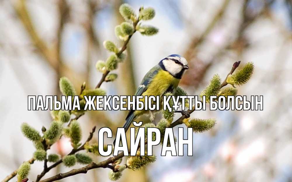 Күн сайын ашық хат с именем, САЙРАН Пальма жексенбісі құтты болсын верба Онлайн тегін жүктеп алу тілектері бар керемет карта 