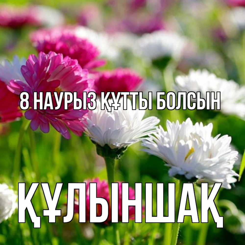 Күн сайын ашық хат с именем, ҚҰЛЫНШАҚ 8 наурыз құтты болсын международный женский день 1 Онлайн тегін жүктеп алу тілектері бар керемет карта 