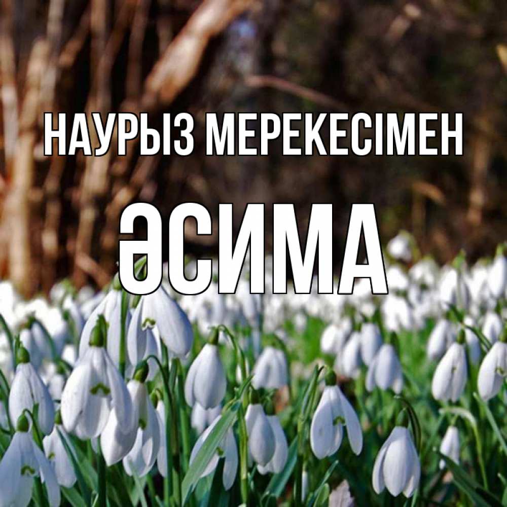 Күн сайын ашық хат с именем, ӘСИМА Наурыз мерекесімен с подснежниками 1 Онлайн тегін жүктеп алу тілектері бар керемет карта 