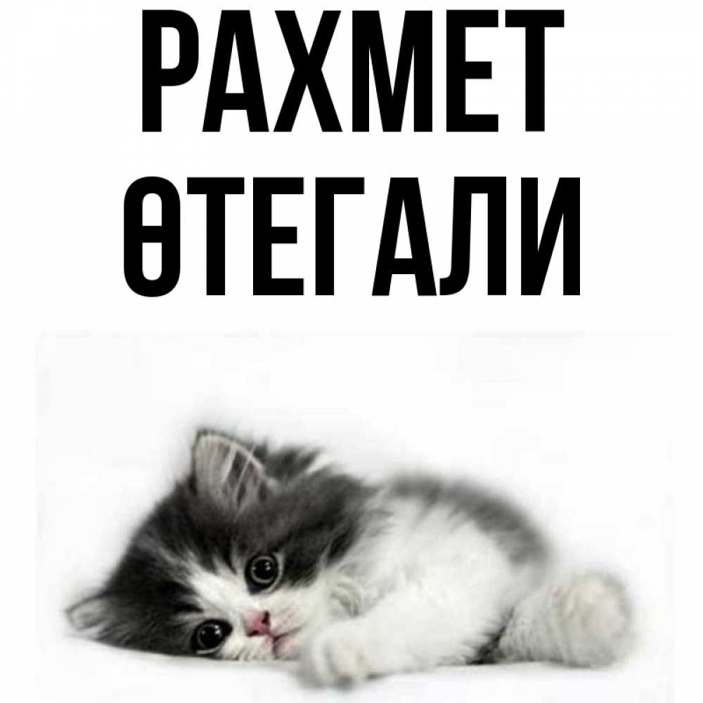 Күн сайын ашық хат с именем, ӨТЕГАЛИ рахмет черный и белый кот Онлайн тегін жүктеп алу тілектері бар керемет карта 