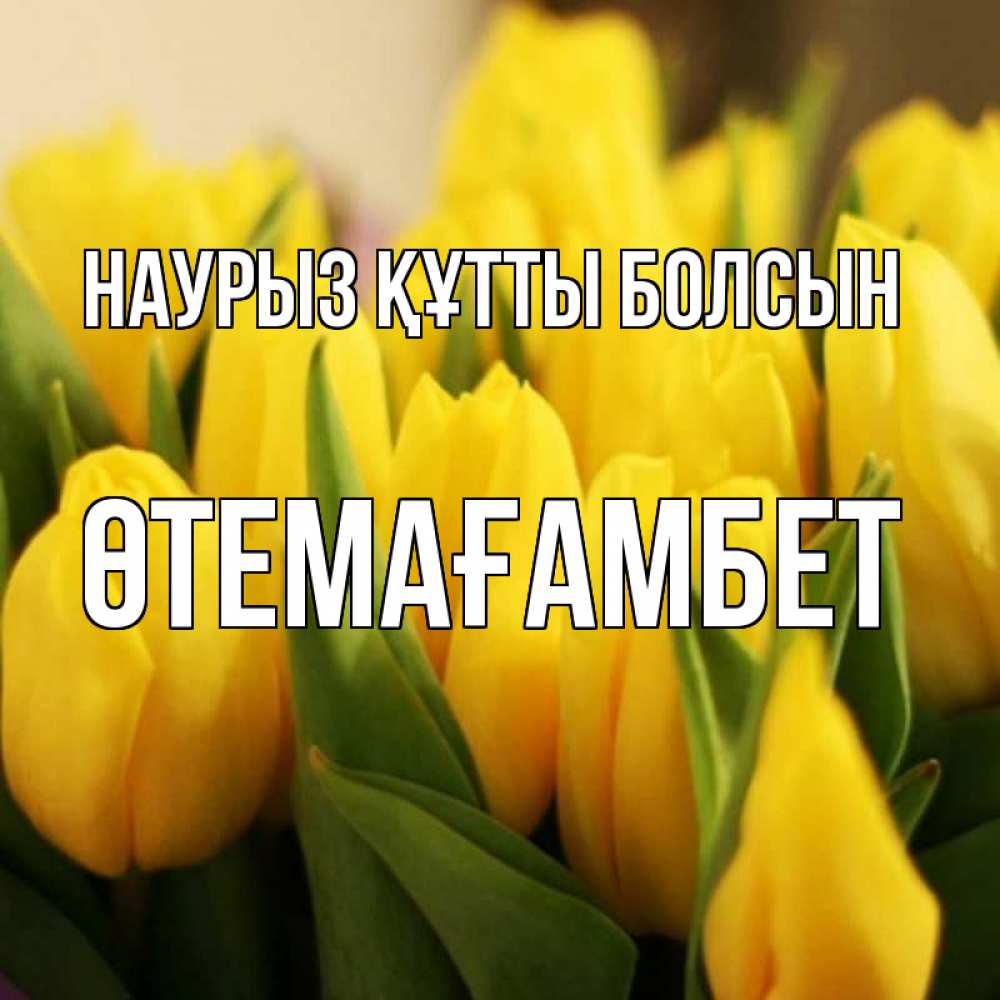 Күн сайын ашық хат с именем, ӨТЕМАҒАМБЕТ Наурыз құтты болсын цветы Онлайн тегін жүктеп алу тілектері бар керемет карта 