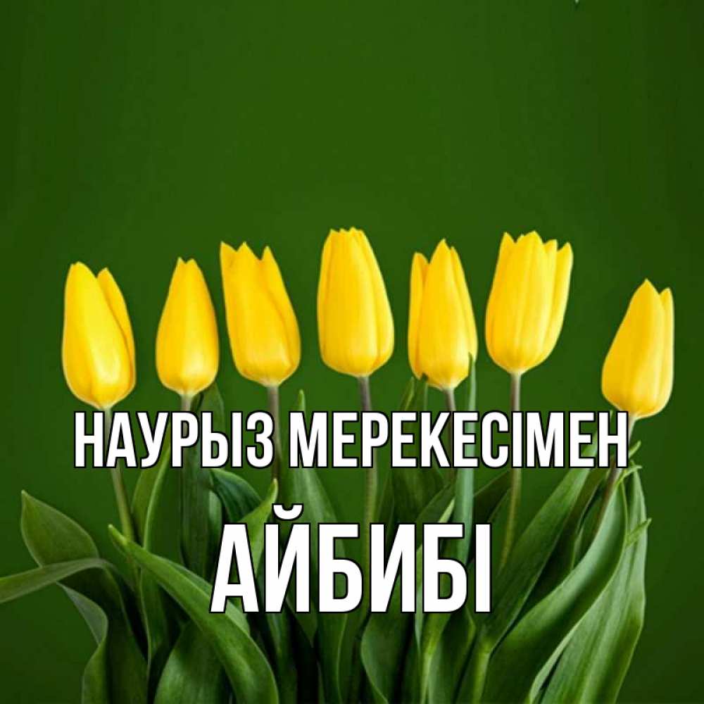 Күн сайын ашық хат с именем, АЙБИБІ Наурыз мерекесімен желтого цвета 3 Онлайн тегін жүктеп алу тілектері бар керемет карта 