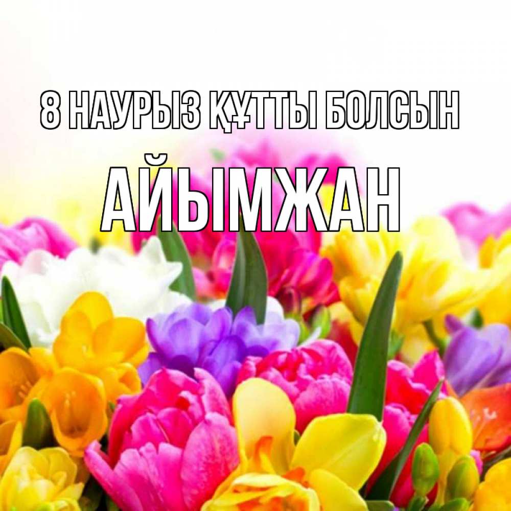 Күн сайын ашық хат с именем, АЙЫМЖАН 8 наурыз құтты болсын тюльпаны Онлайн тегін жүктеп алу тілектері бар керемет карта 