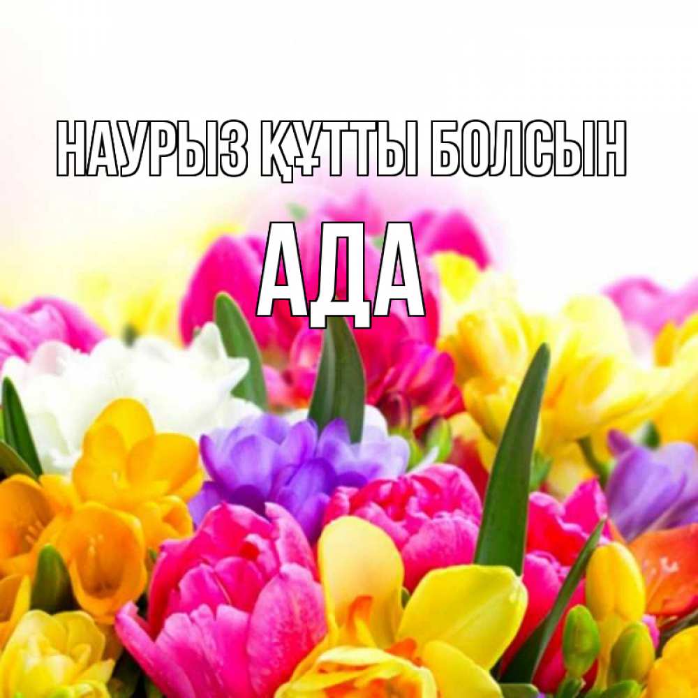Күн сайын ашық хат с именем, Ада Наурыз құтты болсын тюльпаны Онлайн тегін жүктеп алу тілектері бар керемет карта 