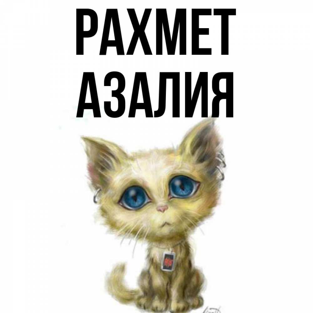 Күн сайын ашық хат с именем, Азалия рахмет рисованный кот благодарит вас Онлайн тегін жүктеп алу тілектері бар керемет карта 