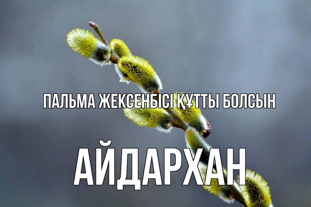 Күн сайын ашық хат с именем, Айдархан Пальма жексенбісі құтты болсын верба Онлайн тегін жүктеп алу тілектері бар керемет карта 
