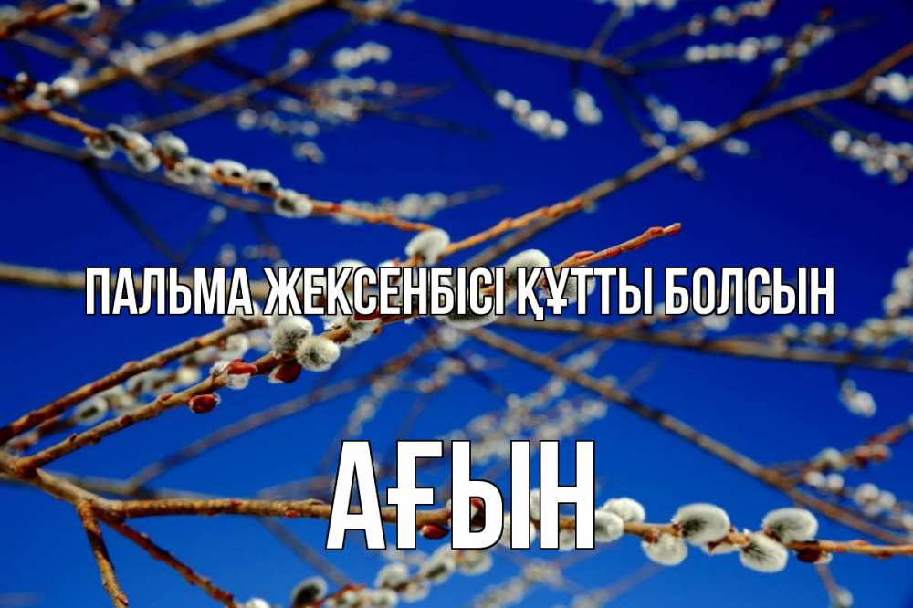 Күн сайын ашық хат с именем, Ағын Пальма жексенбісі құтты болсын верба Онлайн тегін жүктеп алу тілектері бар керемет карта 