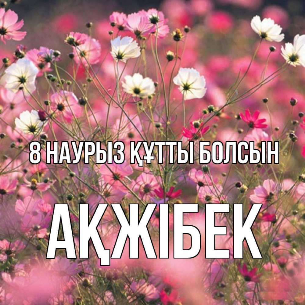 Күн сайын ашық хат с именем, АҚЖІБЕК 8 наурыз құтты болсын красиво 1 Онлайн тегін жүктеп алу тілектері бар керемет карта 