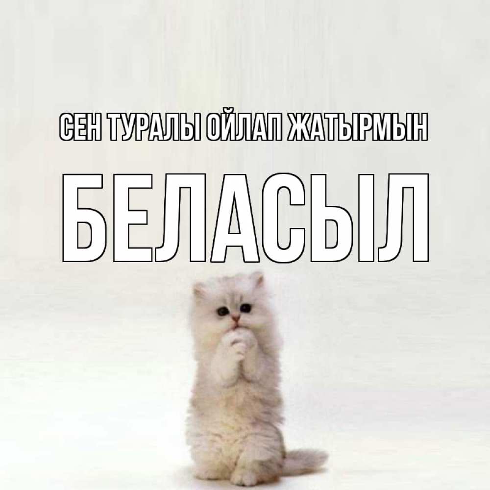 Күн сайын ашық хат с именем, Беласыл Сен туралы ойлап жатырмын кот стоит на задних лапах Онлайн тегін жүктеп алу тілектері бар керемет карта 