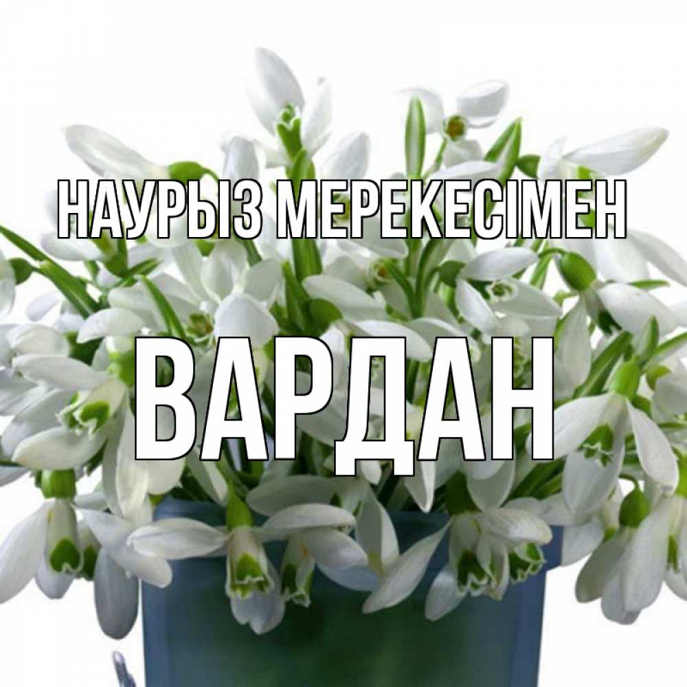 Күн сайын ашық хат с именем, Вардан Наурыз мерекесімен цветы к наурызу новый год в Казахстане Онлайн тегін жүктеп алу тілектері бар керемет карта 