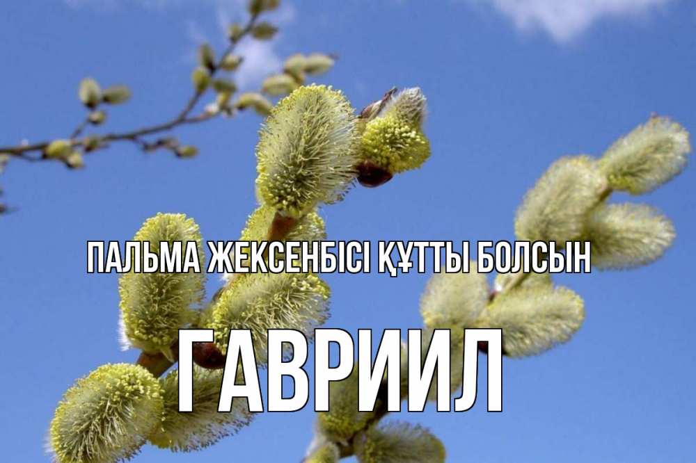 Күн сайын ашық хат с именем, Гавриил Пальма жексенбісі құтты болсын верба Онлайн тегін жүктеп алу тілектері бар керемет карта 