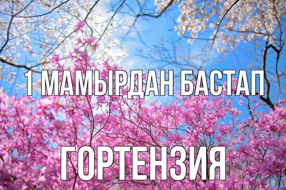 Күн сайын ашық хат с именем, Гортензия 1 мамырдан бастап С 1 мая Онлайн тегін жүктеп алу тілектері бар керемет карта 