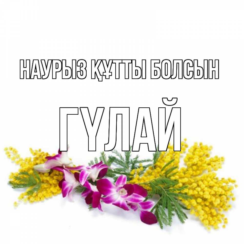 Күн сайын ашық хат с именем, ГҮЛАЙ Наурыз құтты болсын открытка  наурыз с цветами  1 Онлайн тегін жүктеп алу тілектері бар керемет карта 