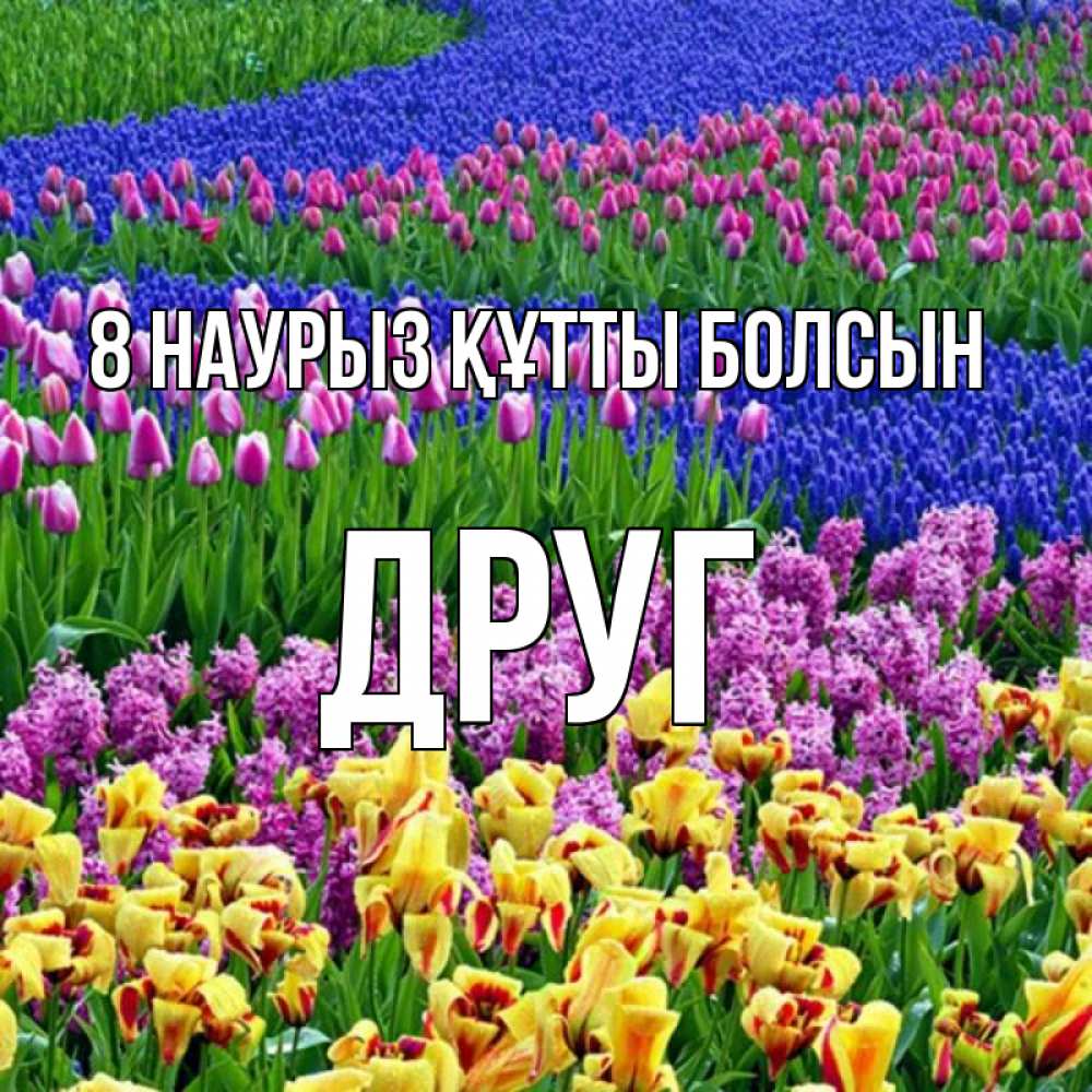 Күн сайын ашық хат с именем, Друг 8 наурыз құтты болсын цветы Онлайн тегін жүктеп алу тілектері бар керемет карта 