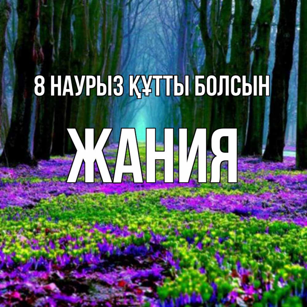 Күн сайын ашық хат с именем, ЖАНИЯ 8 наурыз құтты болсын фиолетовые цветы в лесу 1 Онлайн тегін жүктеп алу тілектері бар керемет карта 